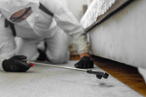 Professional Termite Control technician working in Johnson Creek, WI