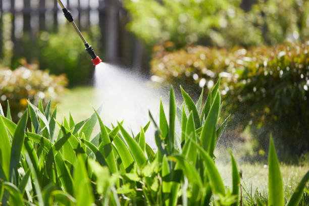 24/7 Emergency Termite Control experts in Johnson Creek, WI