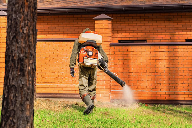 Top rated local Termite Control specialists in Johnson Creek, WI